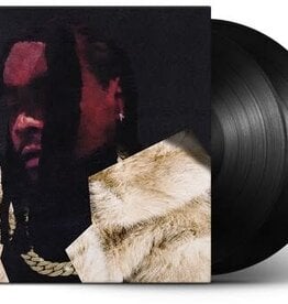 Wale - Everything is A Lot