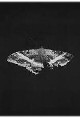 Kendrick Lamar - To Pimp A Butterfly (10 Year)