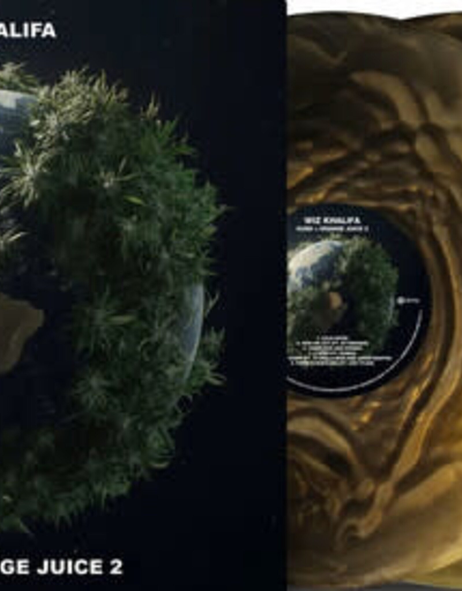 Wiz Khalifa - Kush and Orange Juice 2