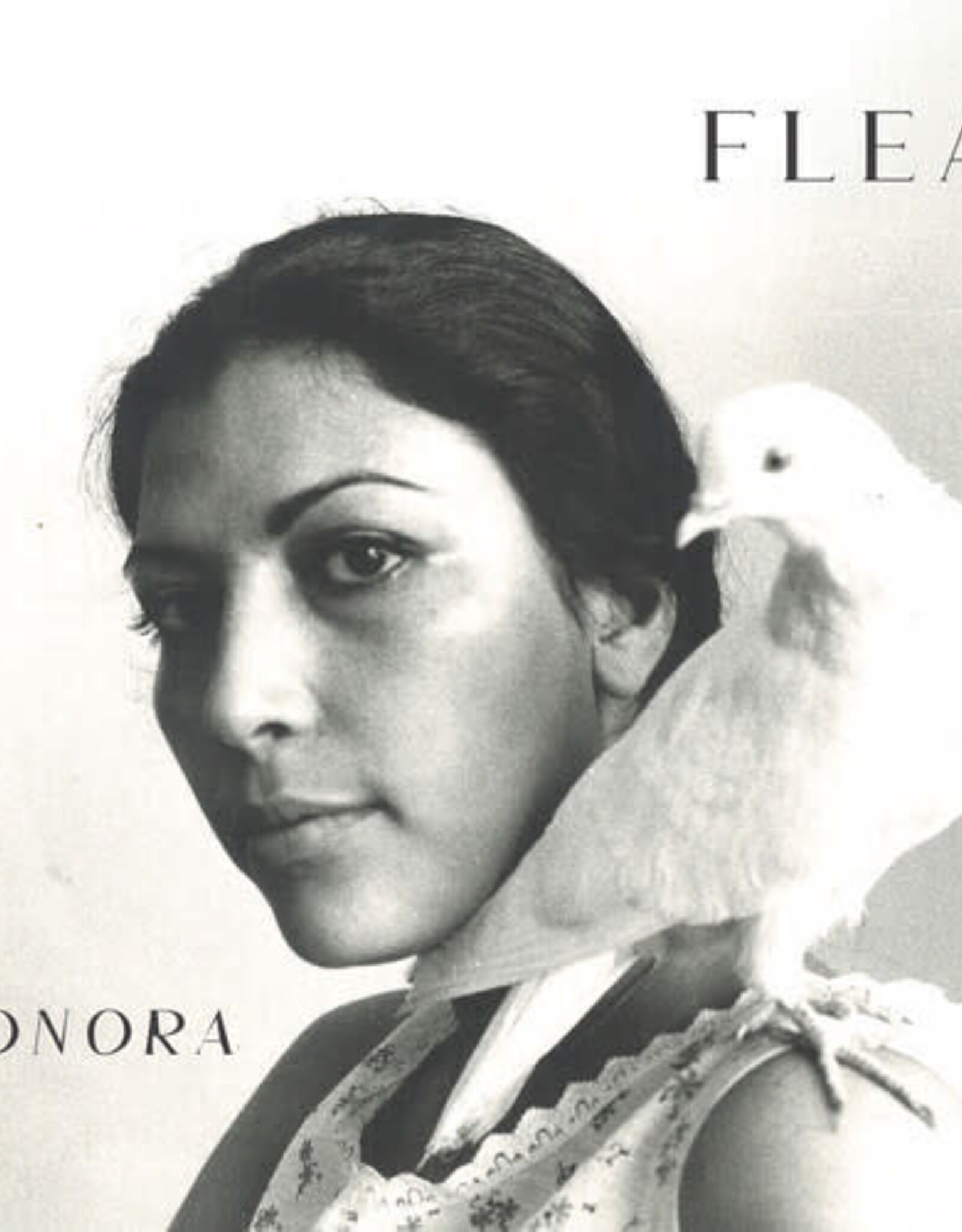 Flea - Honora