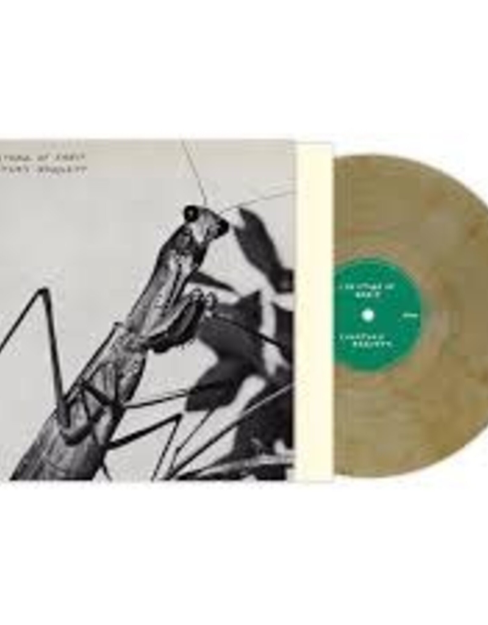 Courtney Barnett - Creature of Habit (INDIE EXCLUSIVE, CARAMEL VINYL)