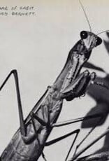 Courtney Barnett - Creature of Habit