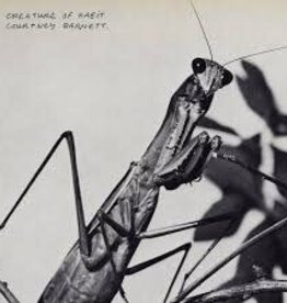 Courtney Barnett - Creature of Habit