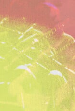 Adrianne Lenker	-	Live At Revolution Hall	(RSD 2026)