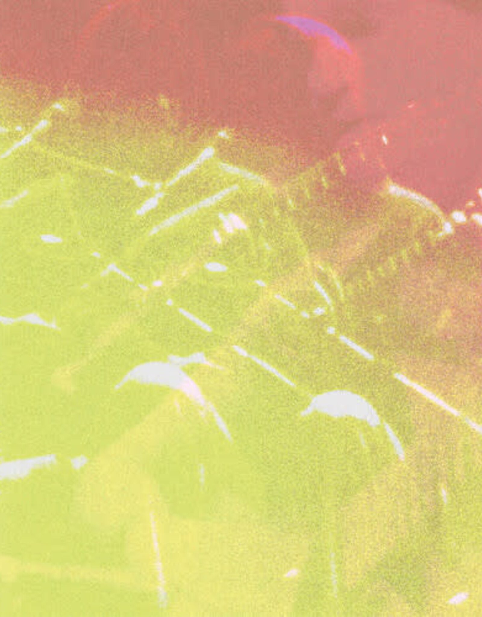 Adrianne Lenker	-	Live At Revolution Hall	(RSD 2026)