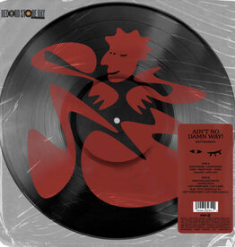 Kaytranada	-	AIN'T NO DAMN WAY	(RSD 2026)