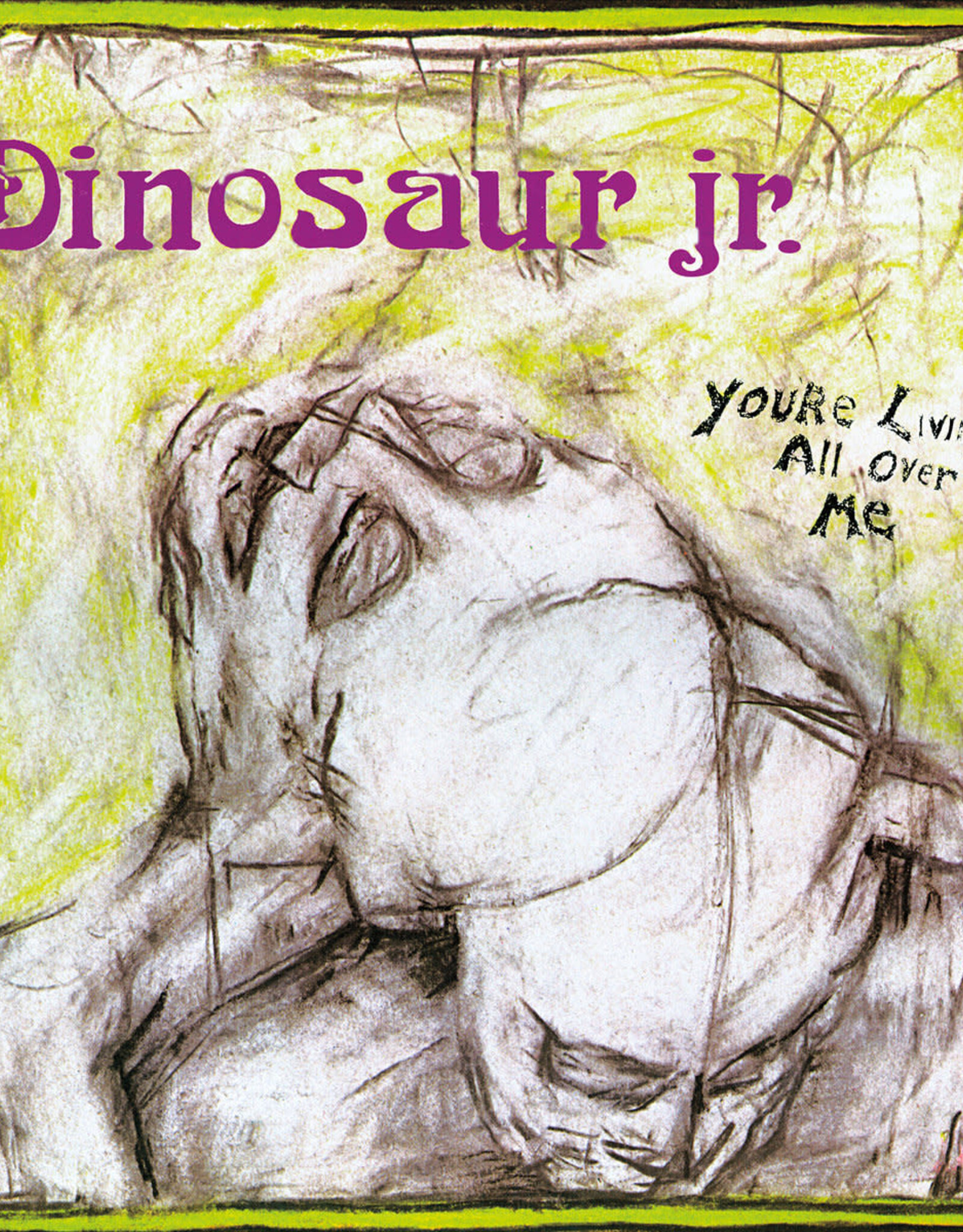 Dinosaur Jr. - You're Living All Over Me (ReVINYL Edition)