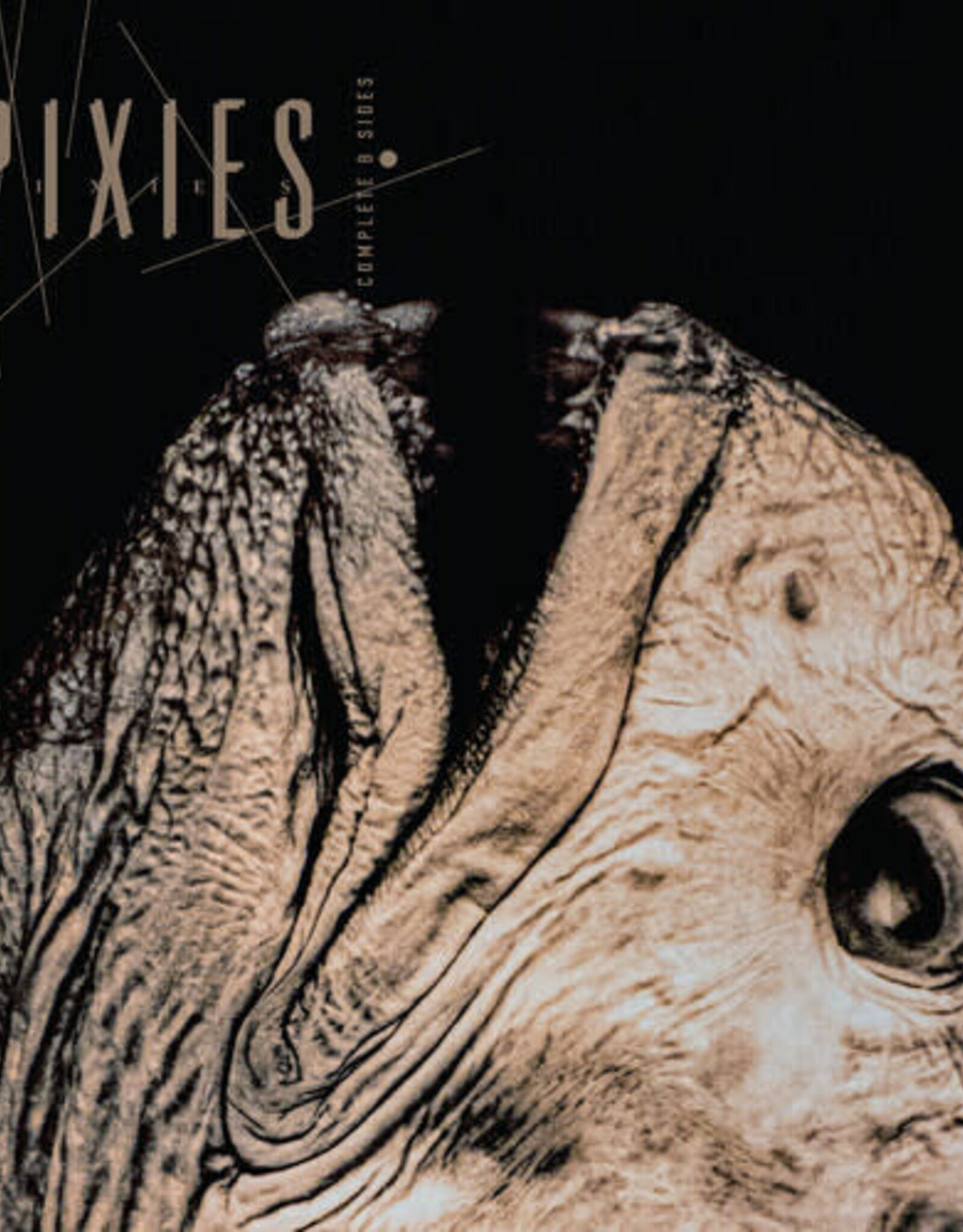 Pixies - Complete B Sides 1988-97