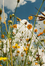 Tasha - You Are Spring! - (Yellow Wildflower Vinyl LP)