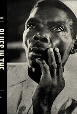Various Artists - Blues in the Mississippi Night