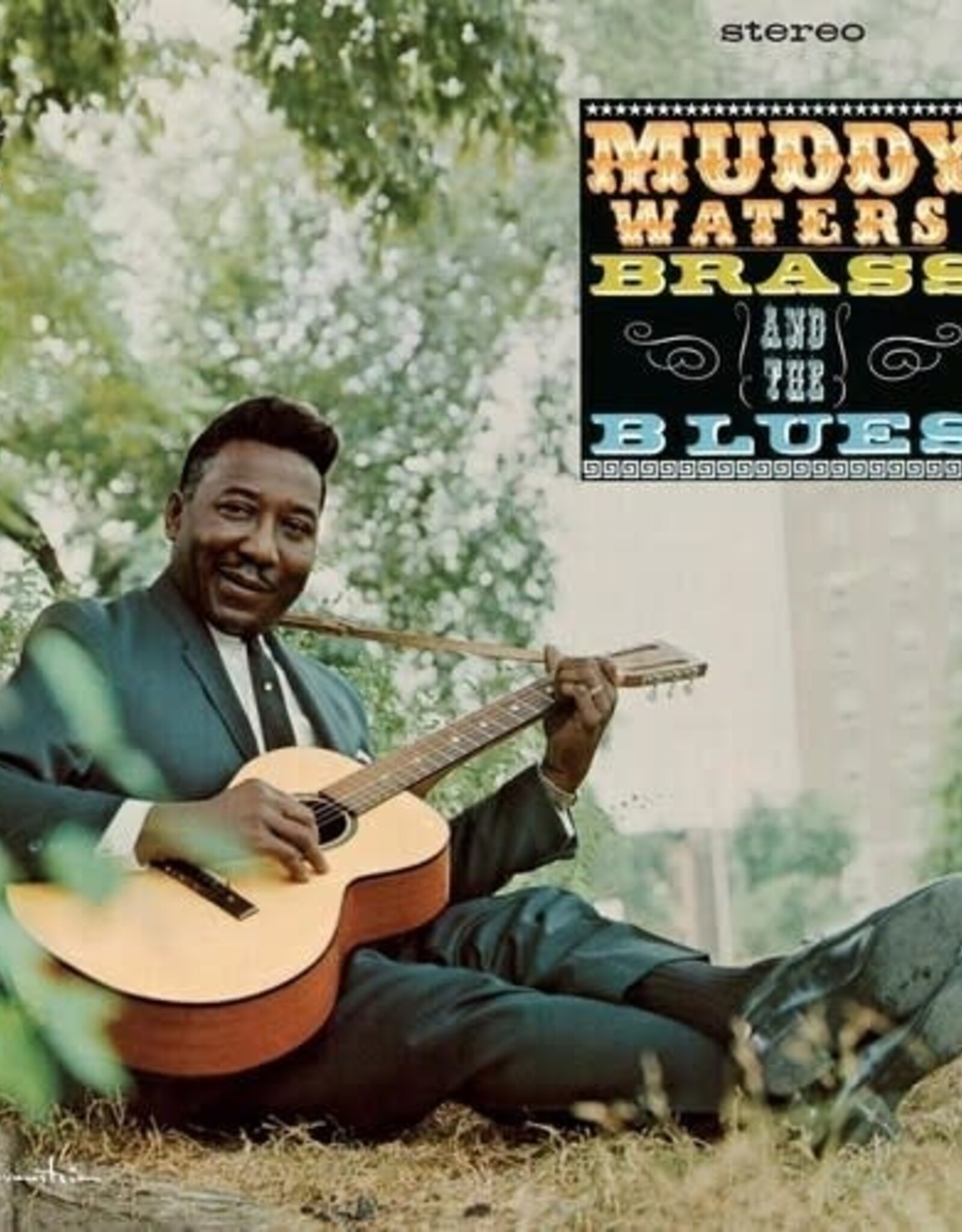 Muddy Waters  - Muddy, Brass And The Blues
