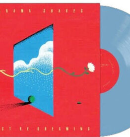 Alabama Shakes - I Must Be Dreaming