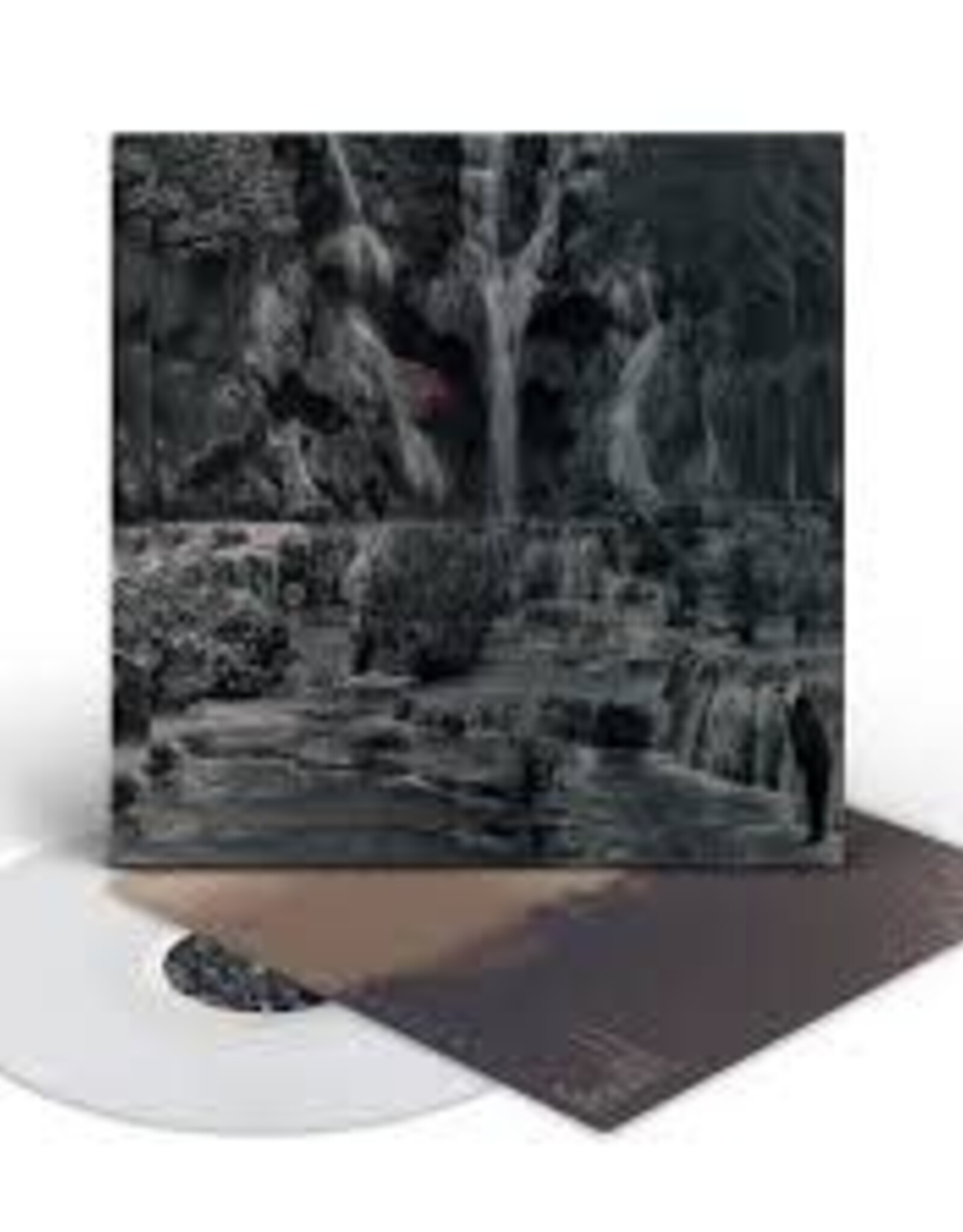Lambchop  - Punching the Clown (Indie Exclusive) -  (Frosted Clear Vinyl IP)