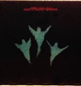 Bonnie "Prince" Billy  - Ghosts of American Psychonauts