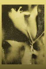 Flying Lotus - 1983