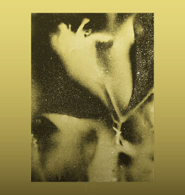 Flying Lotus - 1983
