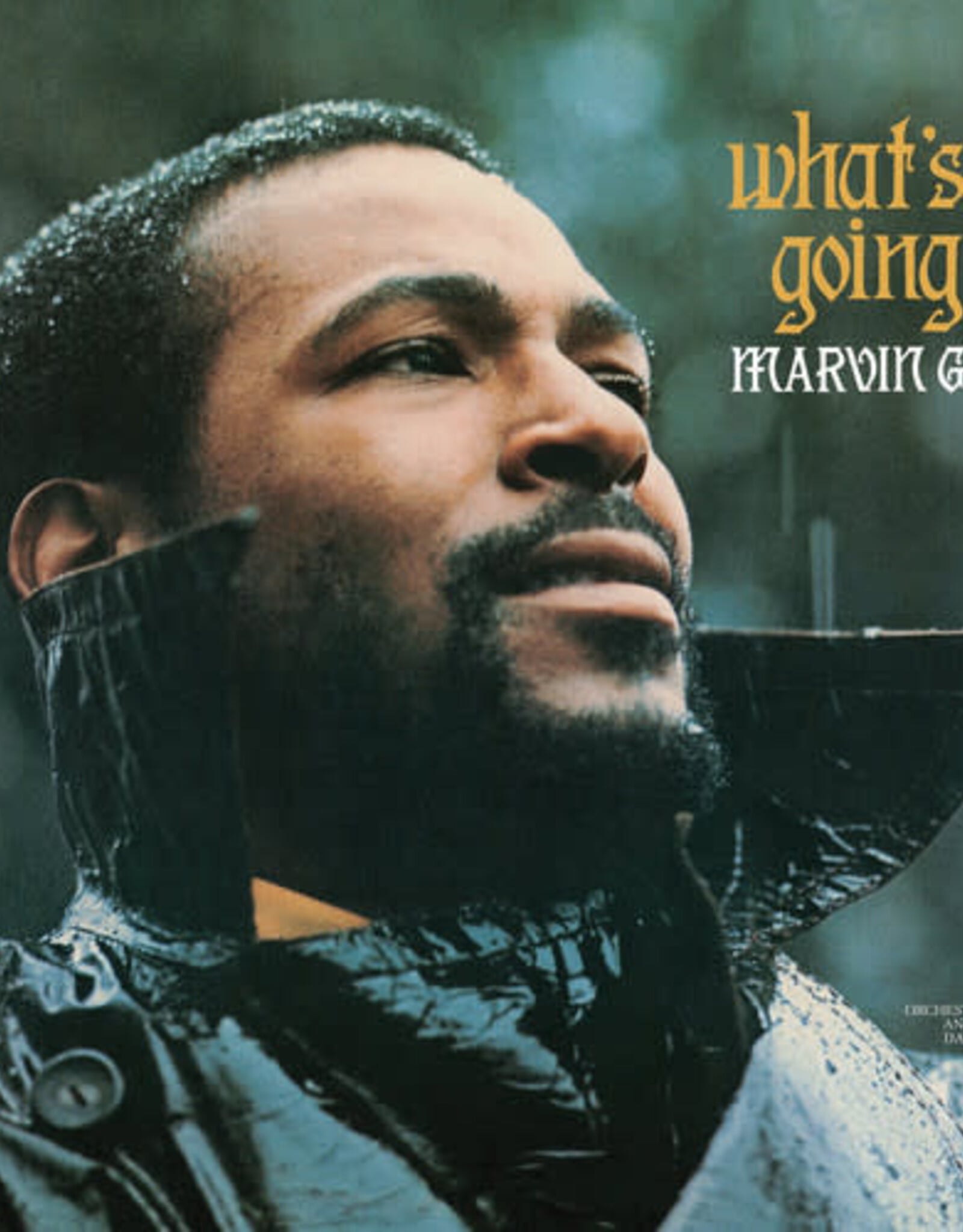 Marvin Gaye - What's Goin On