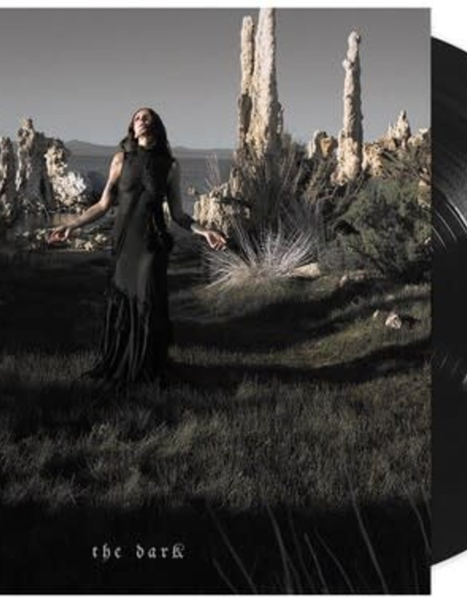 Chelsea Wolfe - The Dark