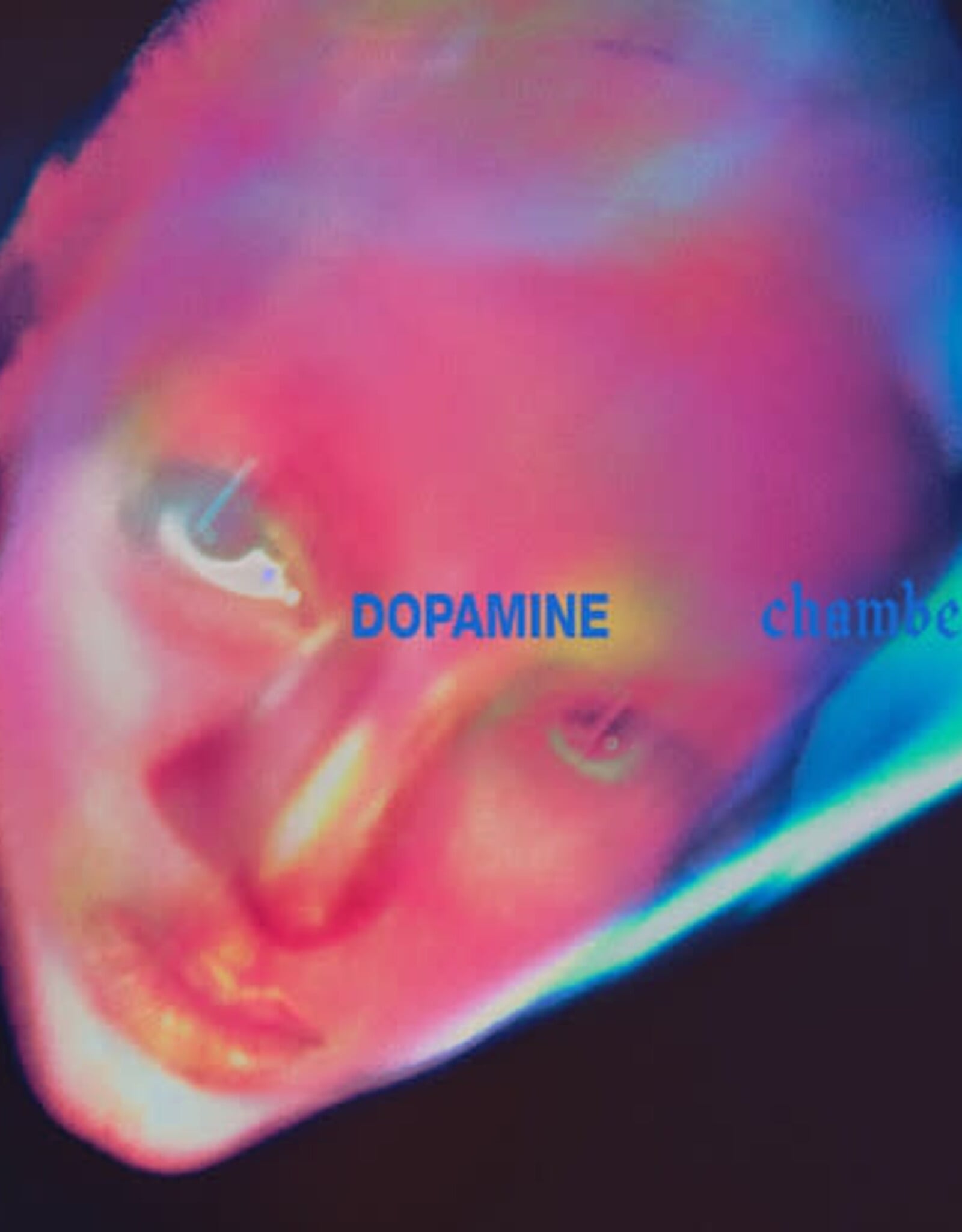 PREORDER DROPS 10/16 : Fontaines D.C - Dopamine Chamber (Indie Exclusive)