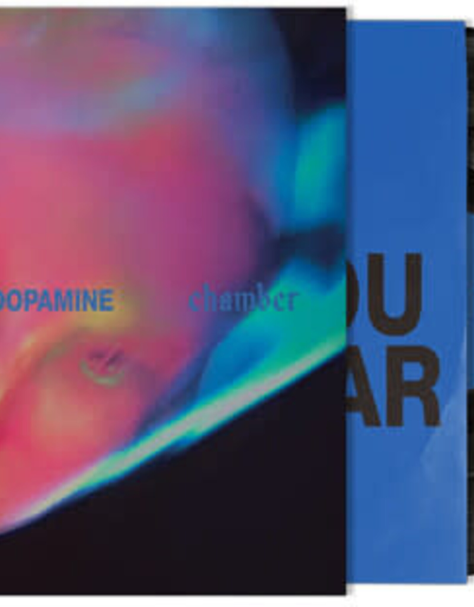 Fontaines D.C. -  Dopamine Chamber