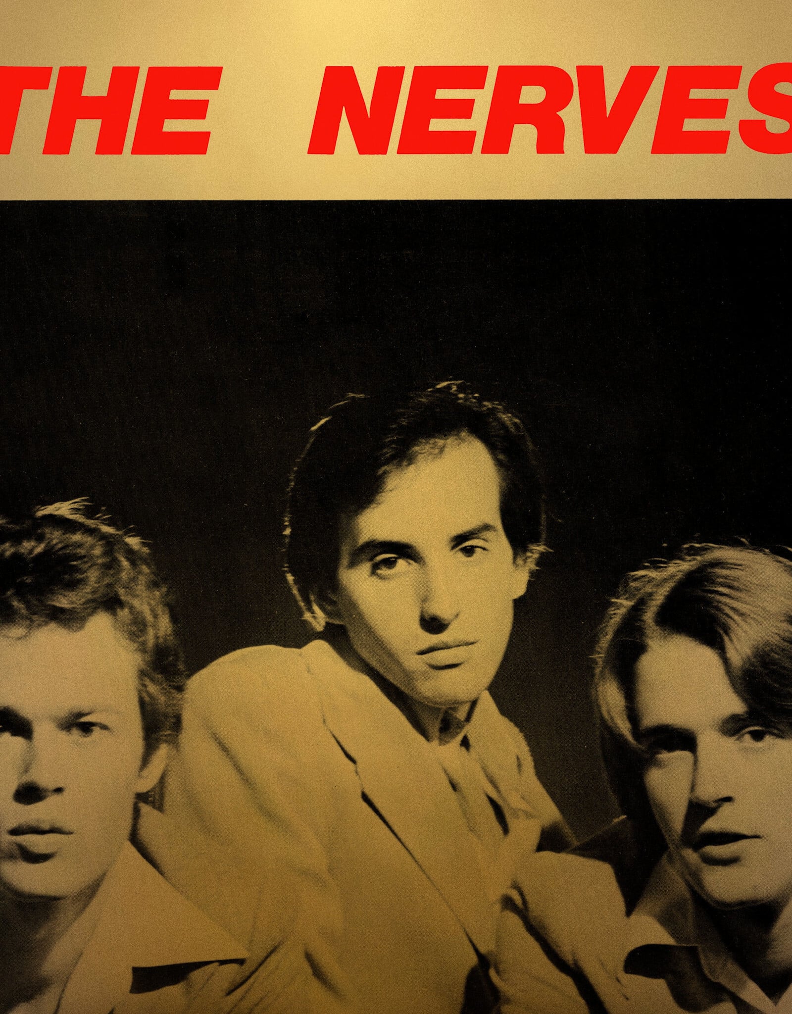 The Nerves  - Best Collection