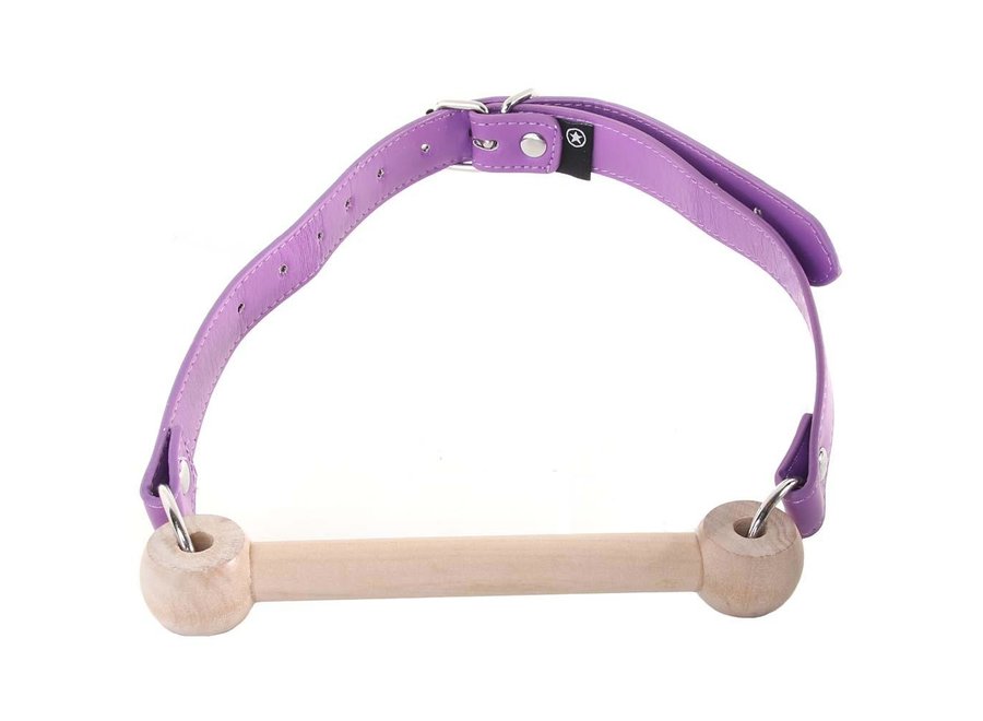 Ouch! Wooden Bridle Gag in Purple