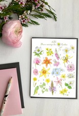 CARTE DE SOUHAITS FLEURS SAUVAGES
