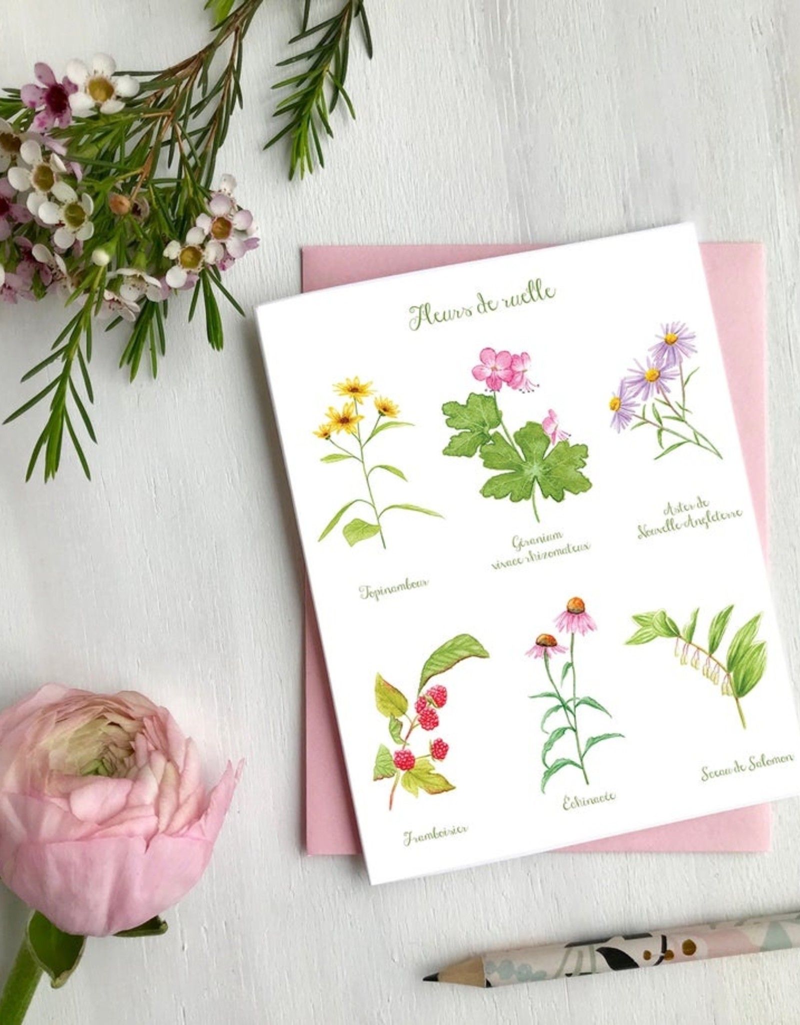 CARTE DE SOUHAITS FLEURS DE RUELLE