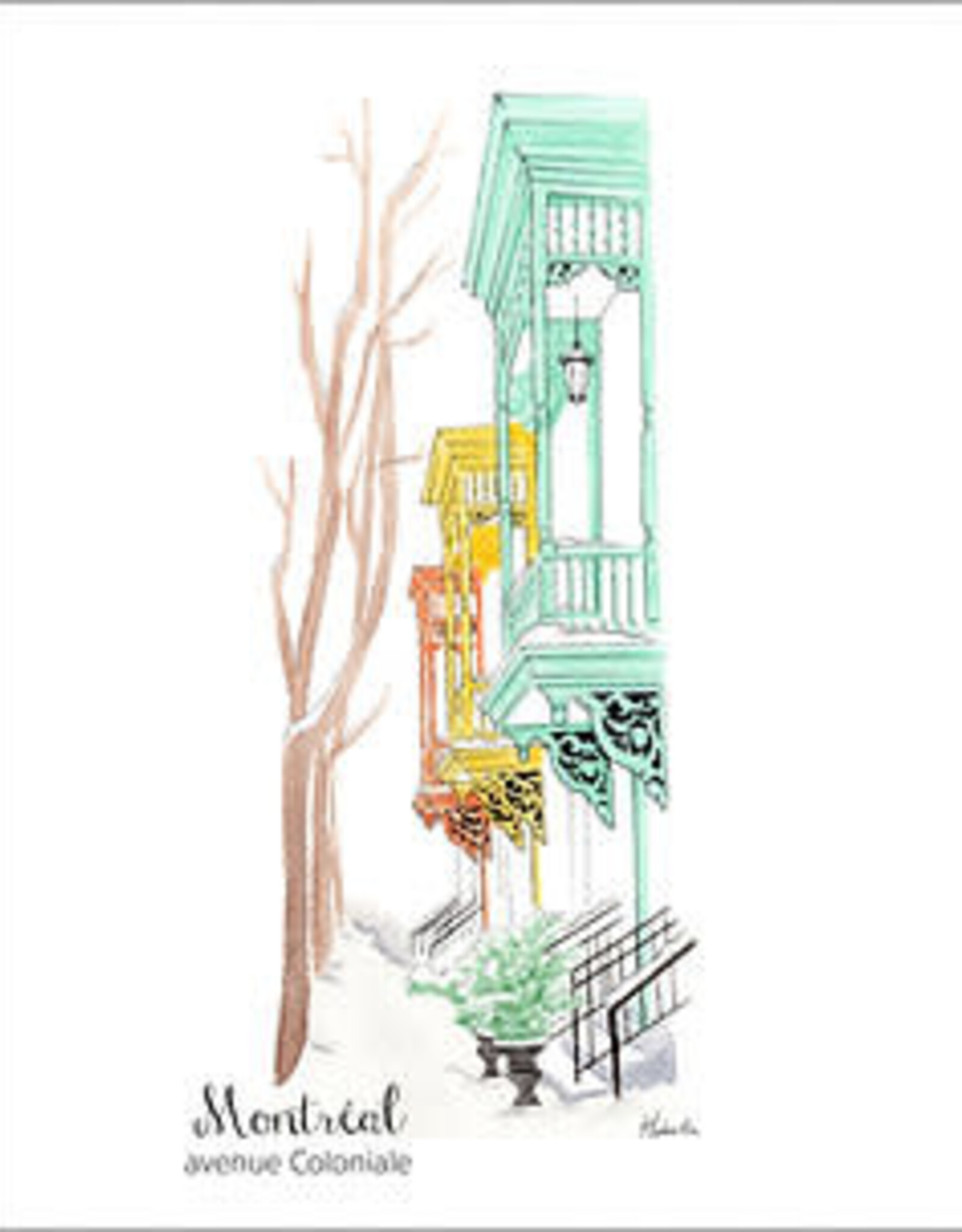 AFFICHE : AVENUE COLONIALE 8x10