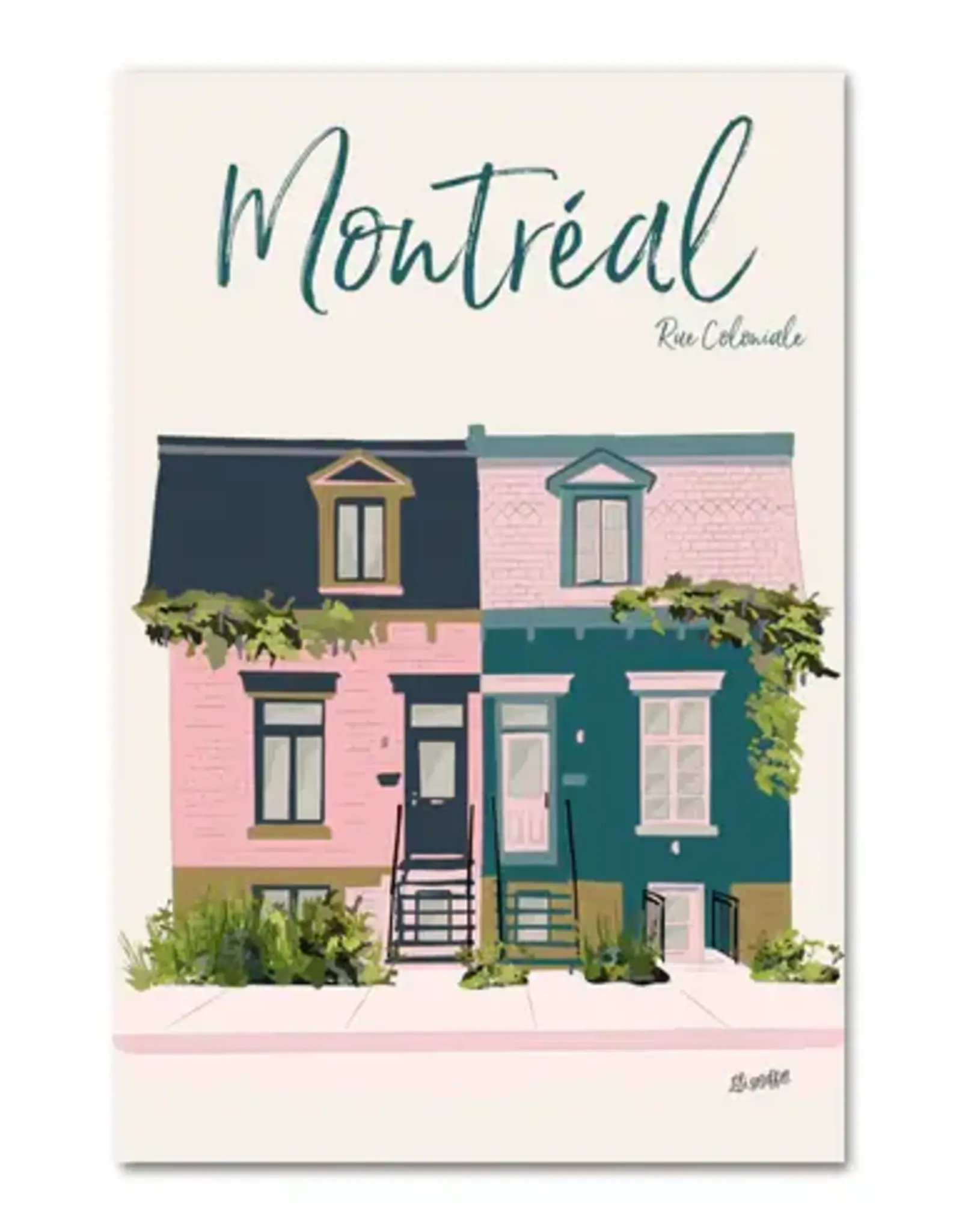 CARTE POSTALE : FAÇADE AVENUE COLONIALE