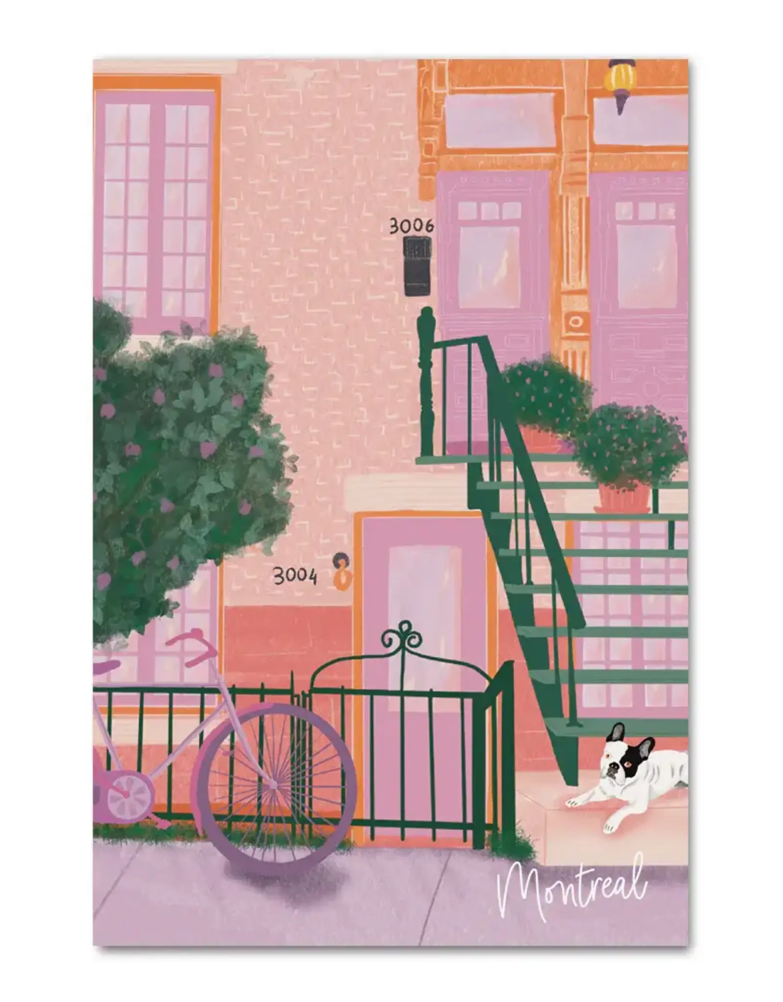 CARTE POSTALE : PETIT LAURIER + BULLDOG