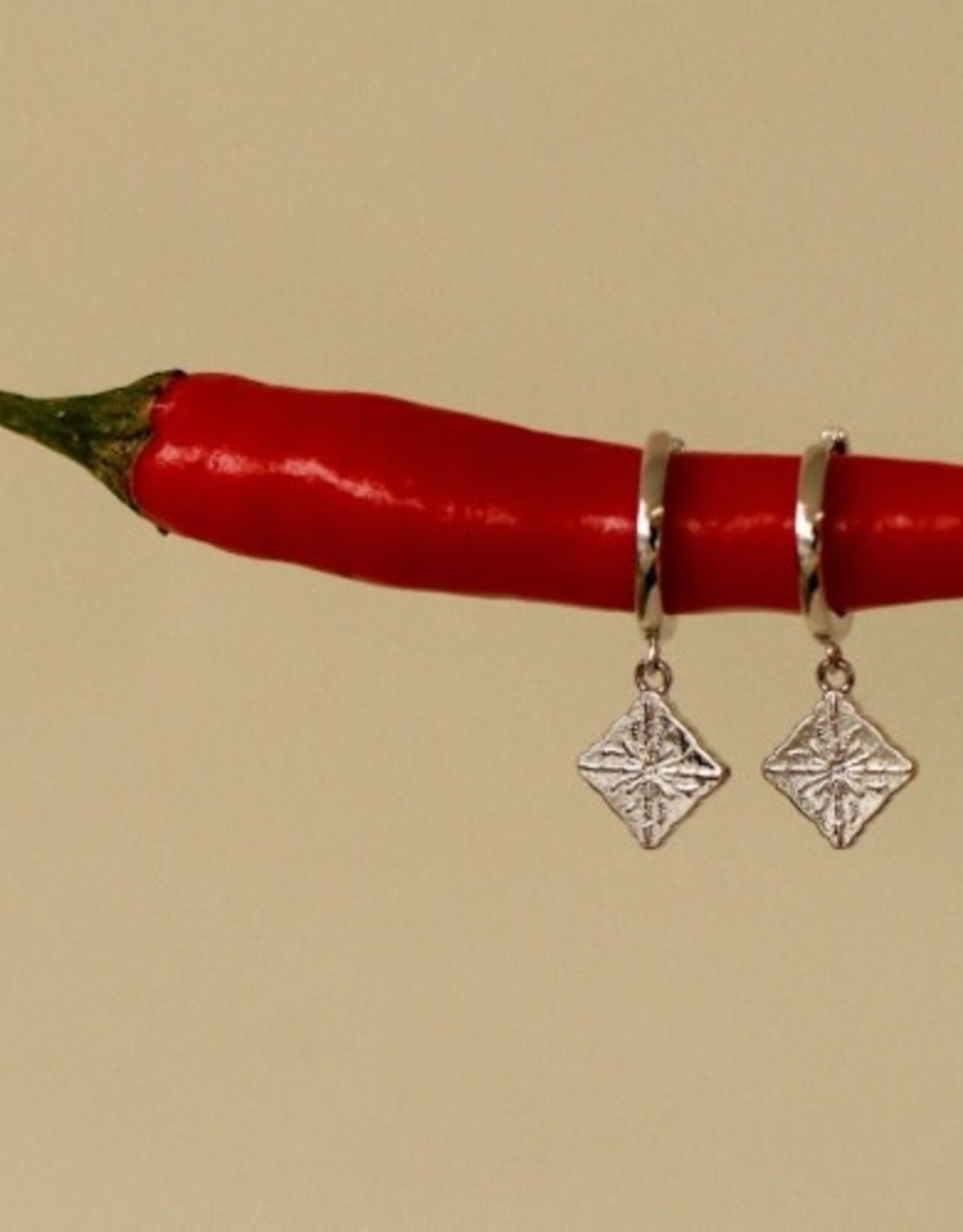 BOUCLE OREILLE : TELHA