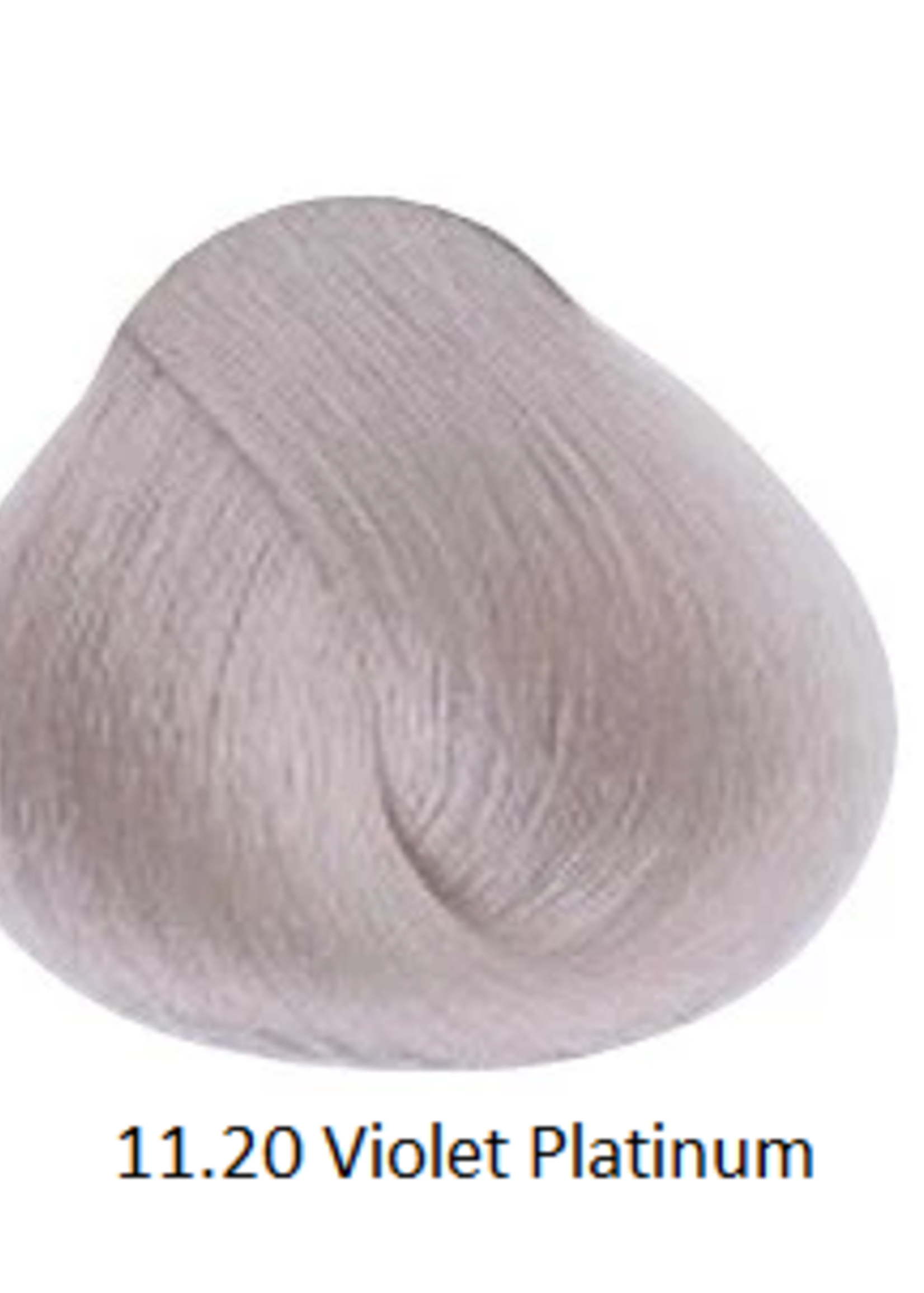 Alfaparf Evolution of the Color - Platinum