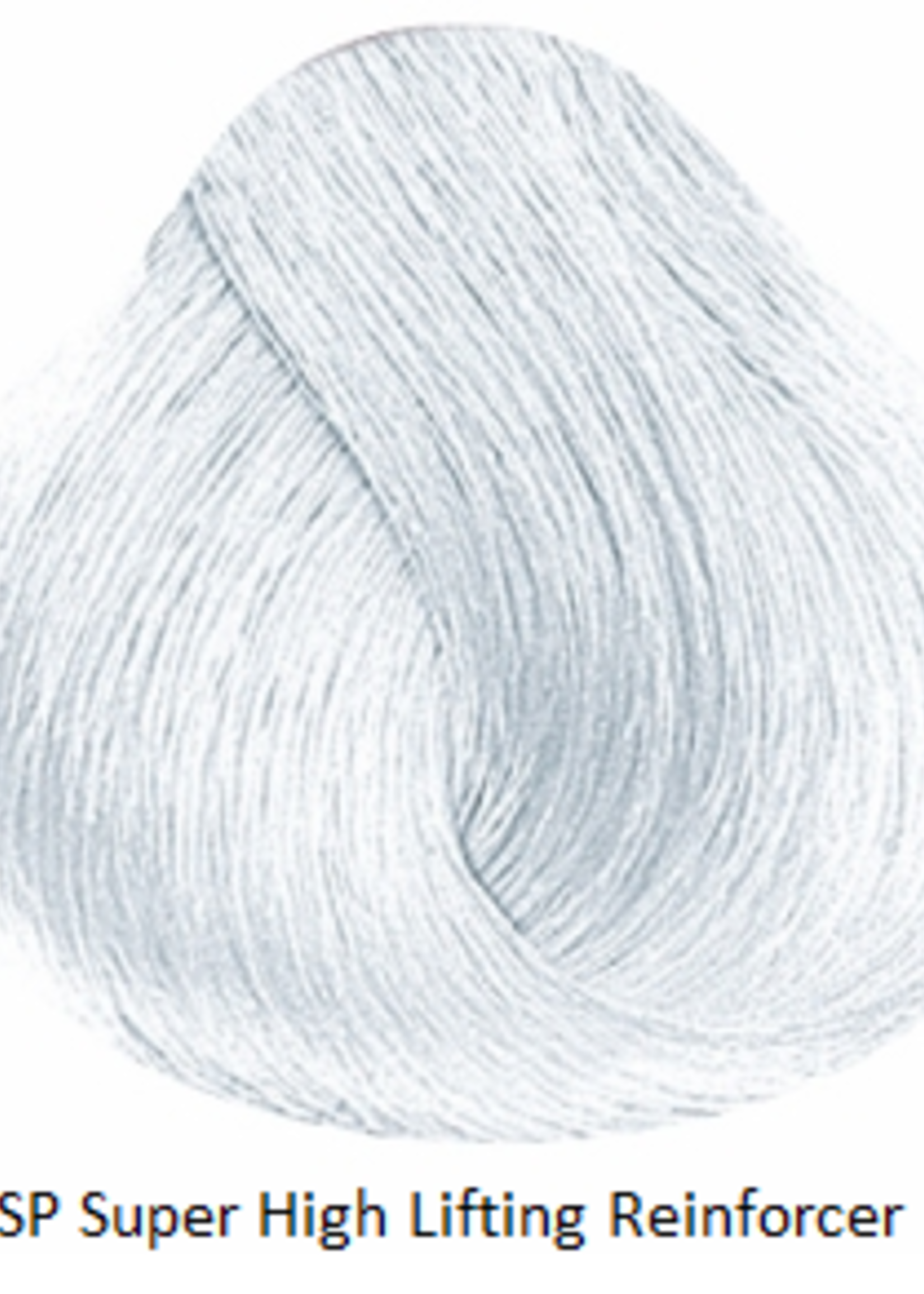 Alfaparf Evolution of the Color - Platinum