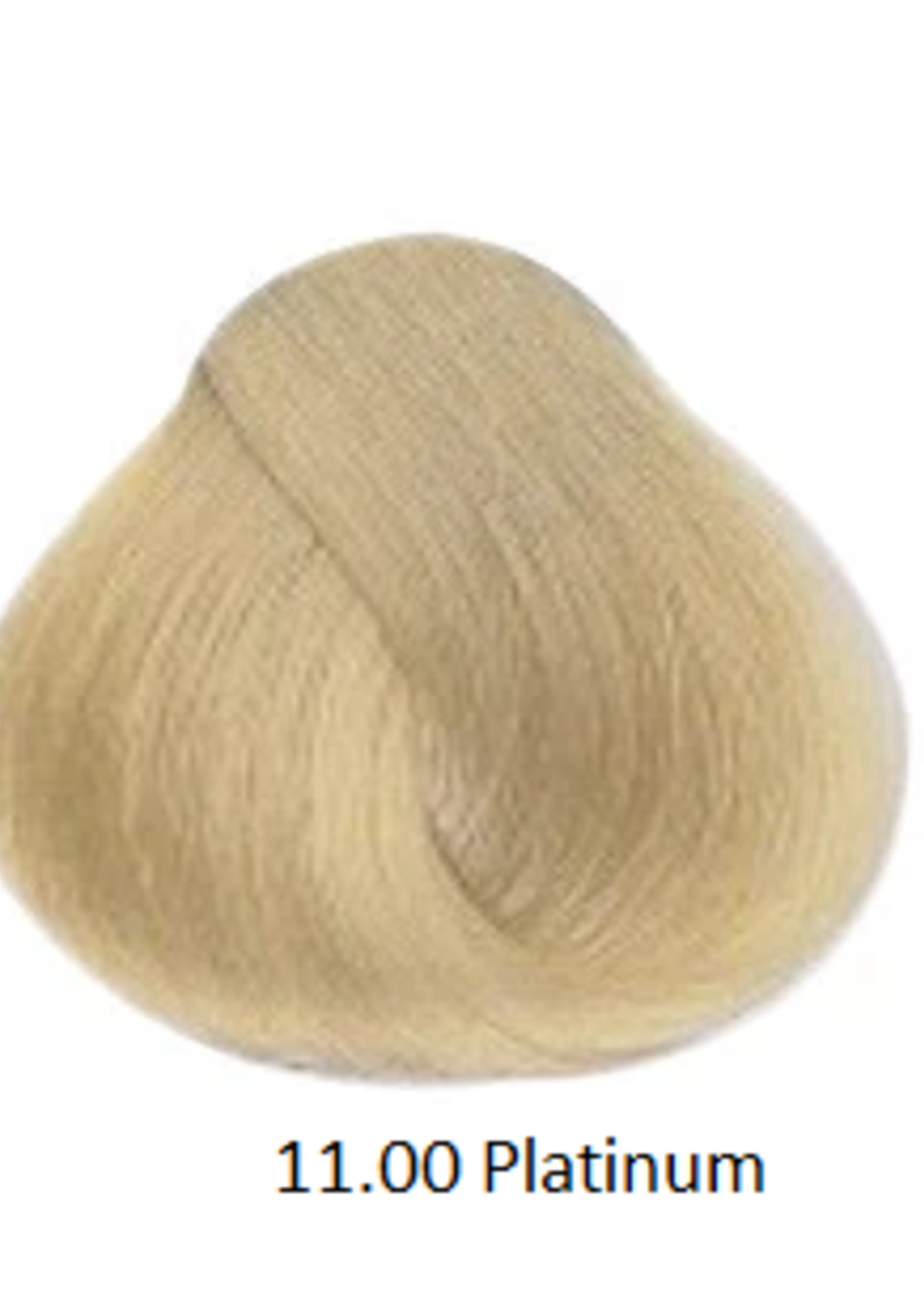 Alfaparf Evolution of the Color - Platinum