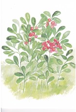 "Lingonberries" Watercolor Notecard