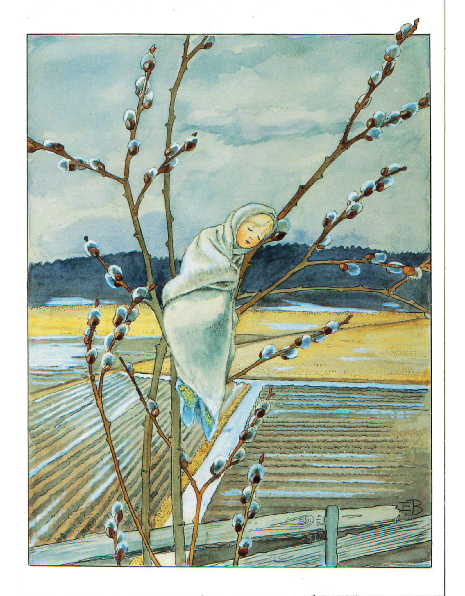 Pussy Willow Baby Postcard