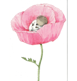 Hedgehog in Flower Postcard