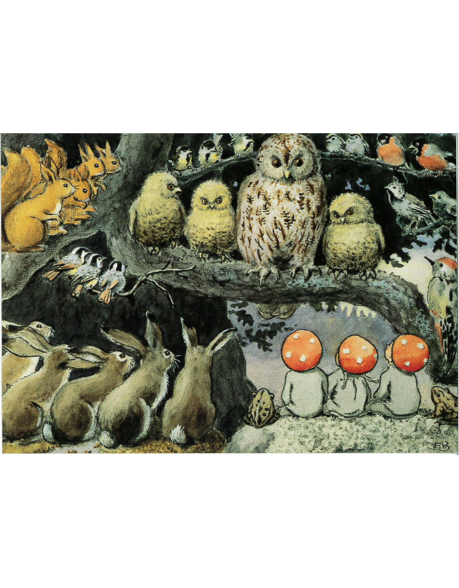 Forest Animals in School Postcard