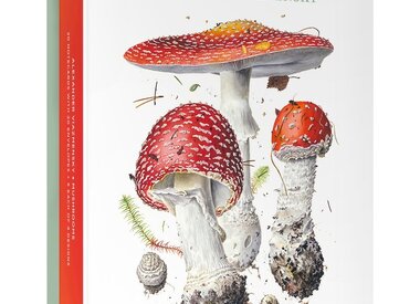 Stationery and Gifts