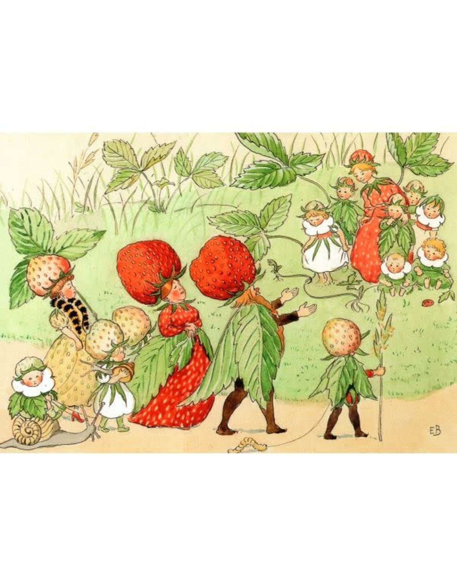 Strawberry Family Postcard