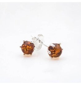 Baltic Cognac Amber 925 Sterling Silver Studs