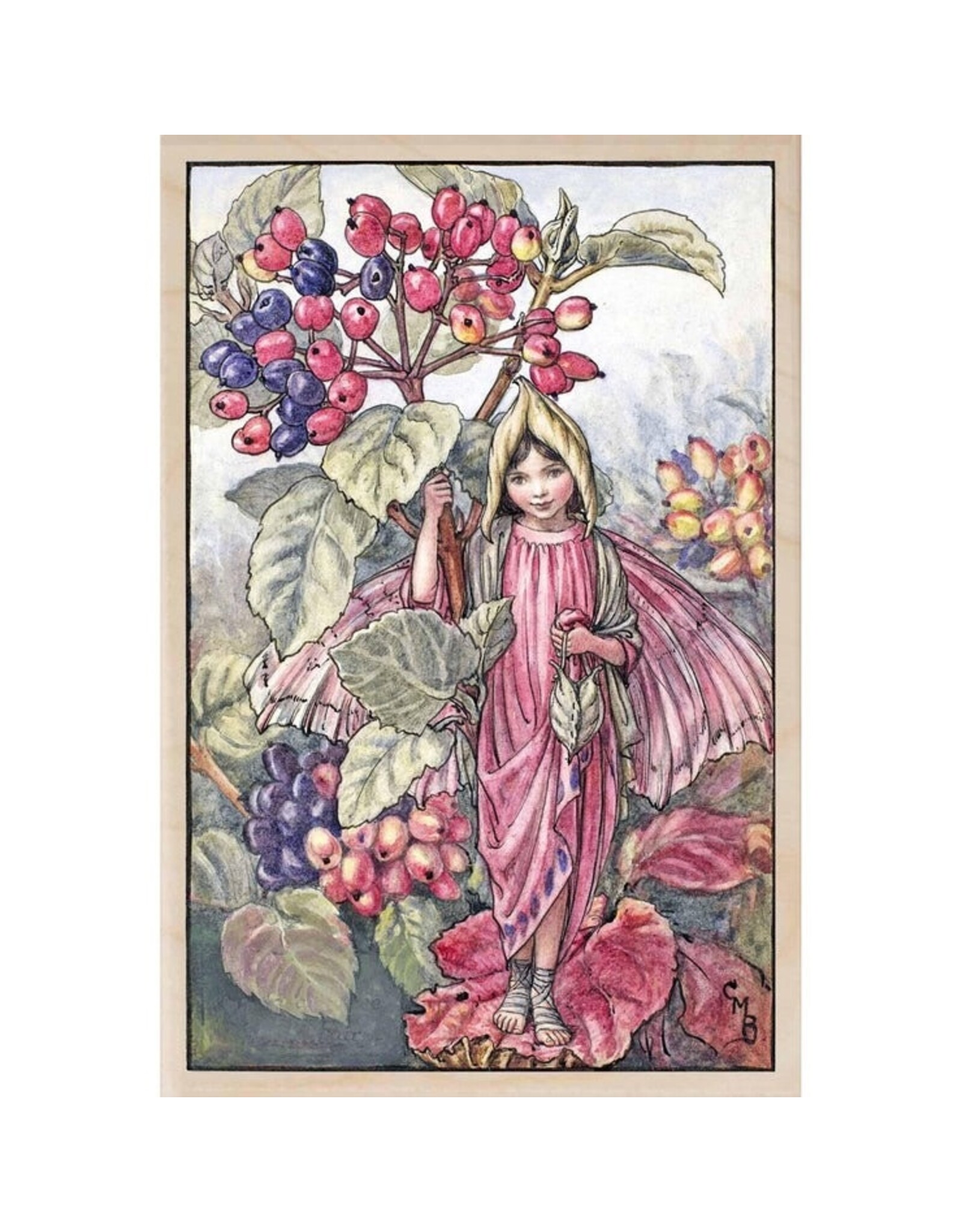 The Elderberry Fairy Wooden Postcard