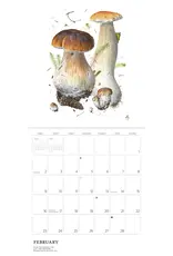 Alexander Viazmensky Mushrooms 2025 Calendar