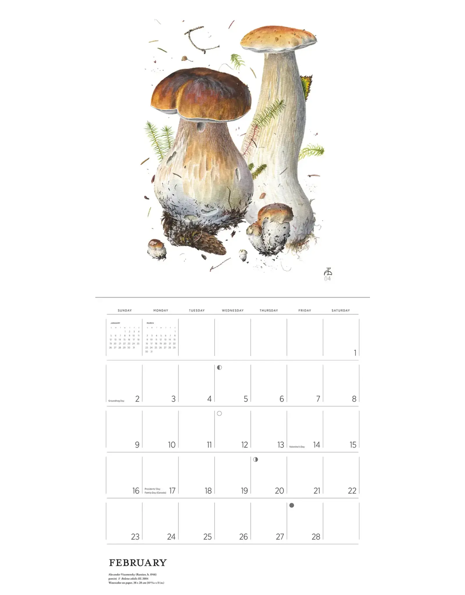 Alexander Viazmensky Mushrooms 2025 Calendar