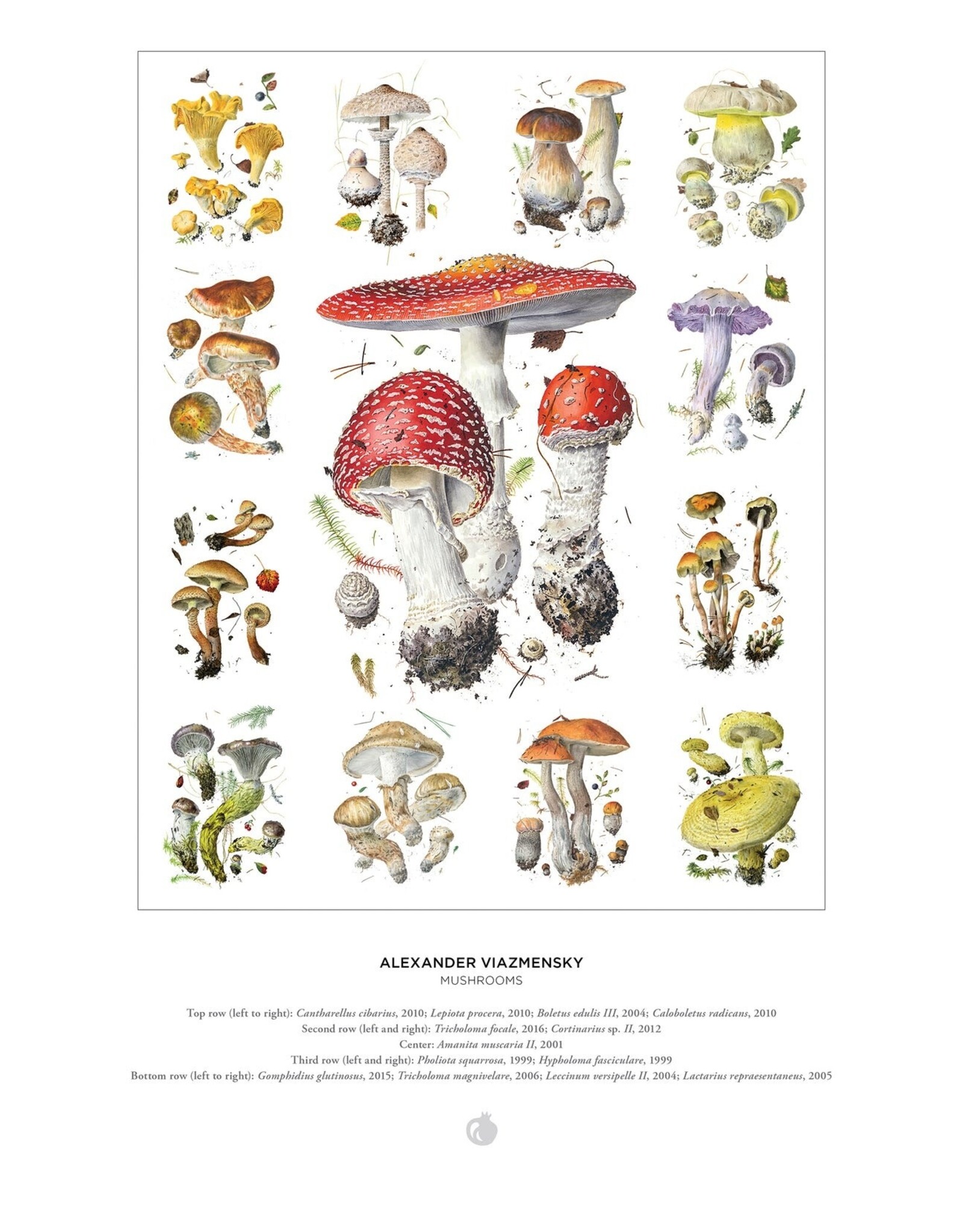 Alexander Viazmensky 1000pc Mushroom Puzzle