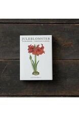 Christmas Flowers Note Card Set