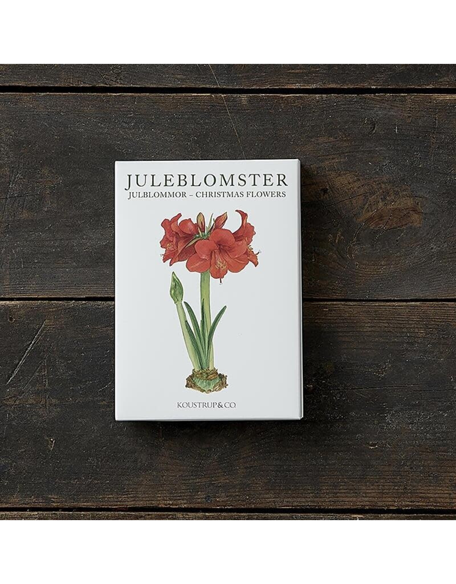 Christmas Flowers Note Card Set