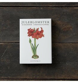 Christmas Flowers Note Card Set