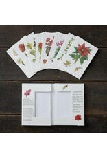 Christmas Flowers Note Card Set